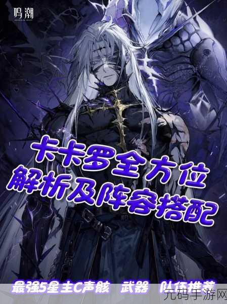 鸣潮卡卡罗养成秘籍，全方位解析与攻略