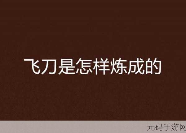 飞刀大师风靡全网，指尖上的休闲新宠，挑战你的精准极限！