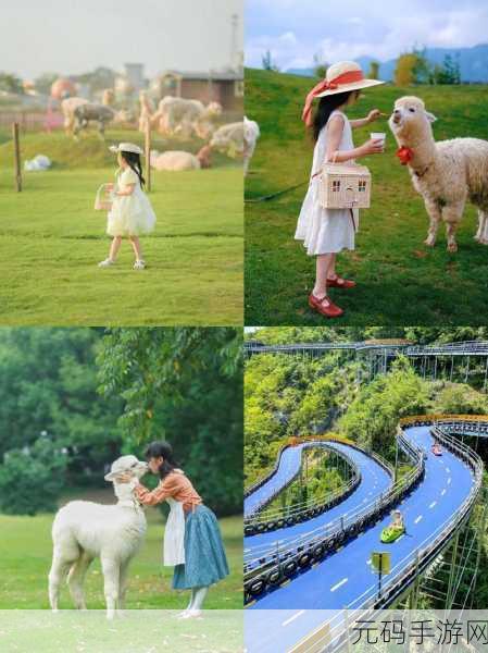 Alpaca World HD，打造你的梦幻羊驼庄园，模拟经营新体验！