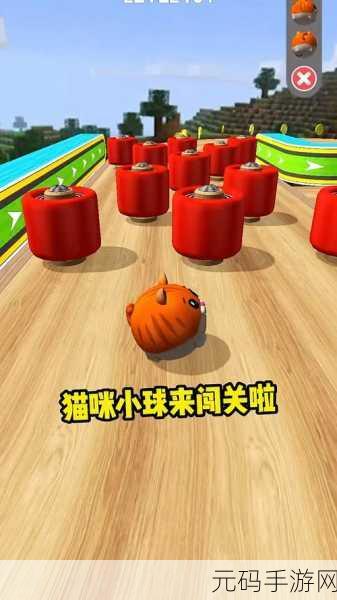 萌宠助力智慧碰撞，猫猫看看看游戏下载热潮席卷答题闯关界