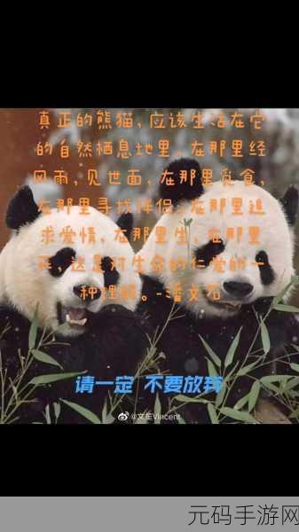 萌化心灵的守护之旅,不要杀了熊猫手机版温馨上线