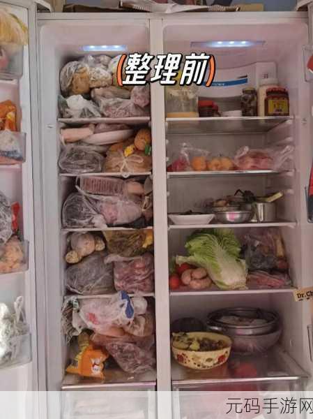 冰箱收纳大挑战，装满冰箱陈列师让你变身整理达人！