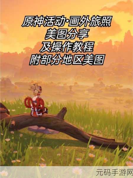 原神提瓦特全机关秘境通关秘籍大揭秘