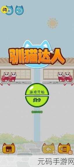 萌宠养成新风尚,驯猫达人游戏引领养猫热潮