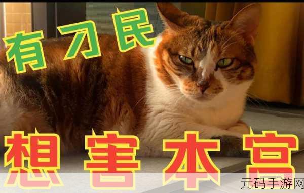 宫廷风云再起，揭秘总有贱婢想害本宫最新版趣味闯关解密游戏盛况