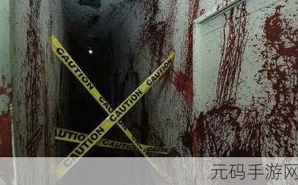 尖叫的灵魂，解锁谜题，逃出恐怖迷宫的全新冒险之旅