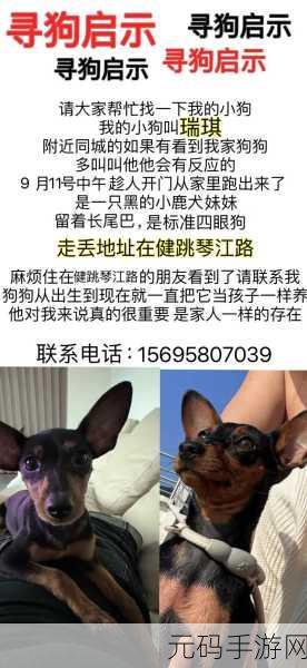 小狗跳跃者风靡全网，休闲益智新宠来袭！快来体验这场欢乐跳跃之旅！