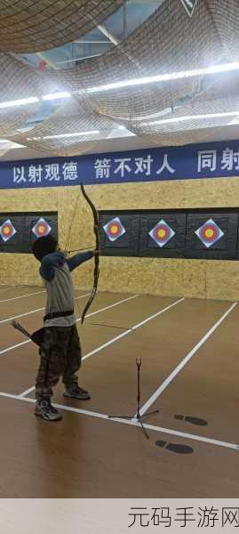 射箭大赛激情上线，手机版下载体验非凡乐趣！