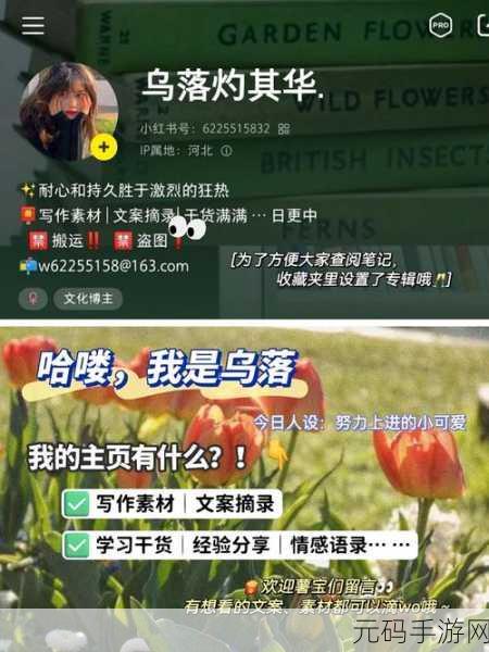 爆笑来袭！这款文字梗小游戏让你笑到肚子疼，快来下载体验