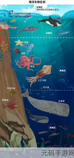 深海水族馆，探索神秘海底，养成治愈水生生物