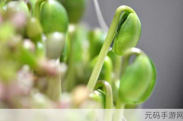 萌趣来袭!萌子豆芽基地开启你的绿色经营之旅