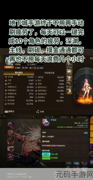 DNF 手游体力卡与血卡深度剖析，谁是最佳之选