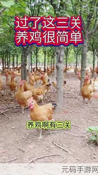 一起来养鸡掀起休闲放置养成新热潮