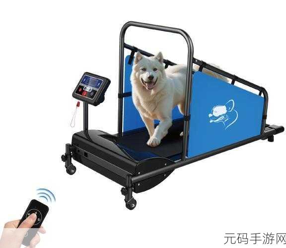 萌宠跑步机风靡全网，趣味休闲新选择等你来体验！