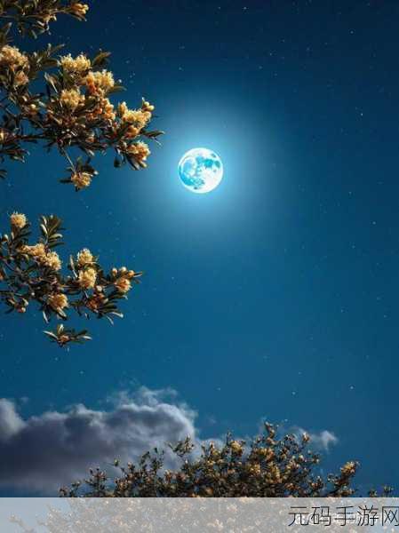 探秘夜色下的宁静，黑夜来临安卓版震撼登场，解压休闲新选择！
