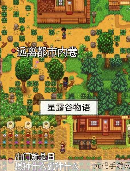 如果可以回家早一点,探索家庭温情的高清像素解密之旅