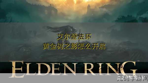 艾尔登法环黄金树之影 DLC，开局幽影树碎片获取秘籍