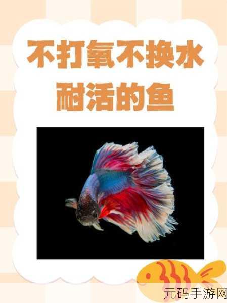 别让心爱的鱼儿失去生命活力！安卓IOS双平台下载-休闲益智新游别让鱼死了