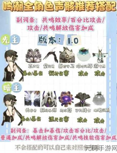 鸣潮,暗属性主角声骸完美搭配秘籍