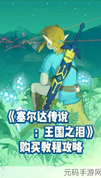 王国之泪，探寻大剑独角仙的购买秘籍