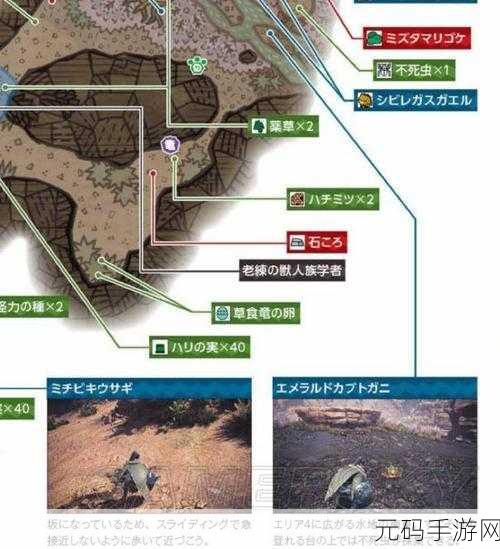 怪物猎人世界稀有环境生物全攻略