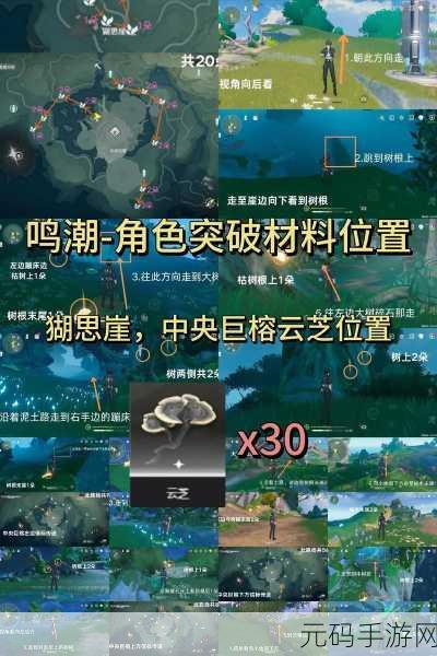 鸣潮手游，探寻锻造商店的神秘路径