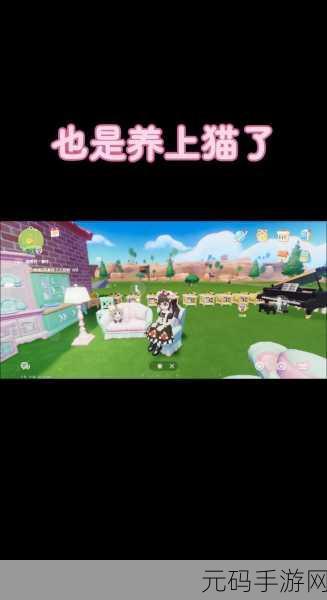 心动小镇猫咪活力恢复秘籍大揭秘