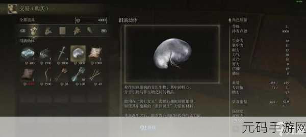 艾尔法登环中寻找暂停键的秘密指南