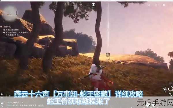 燕云十六声龙骨图获取秘籍大公开