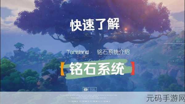 塔瑞斯世界塔塔祭副本通关秘籍大公开