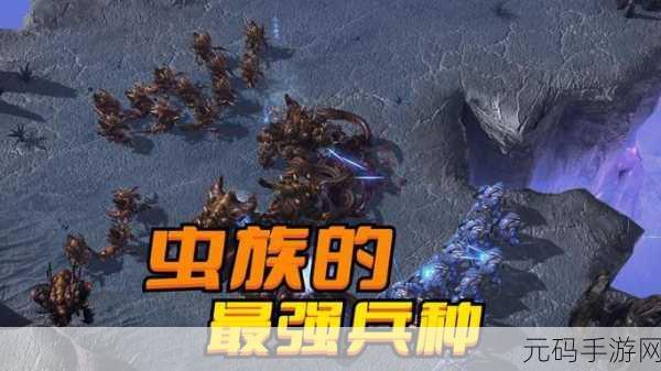 星际争霸虫族兵种全解析，谁才是最强王者
