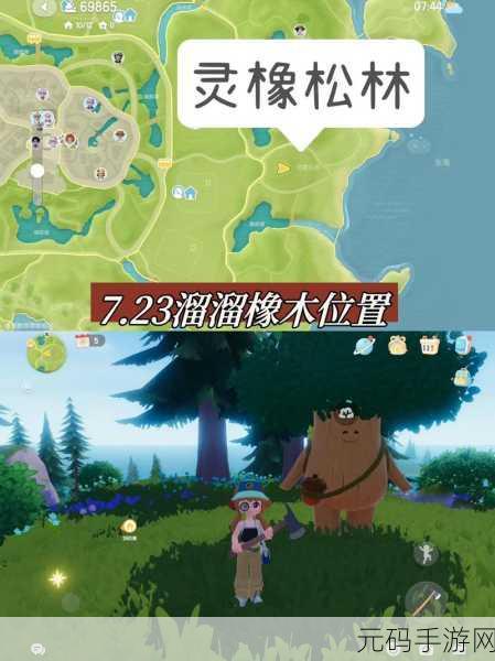 心动小镇溜溜木获取全指南，位置与攻略秘籍
