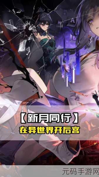 新月同行，传影阵容的无敌搭配秘籍