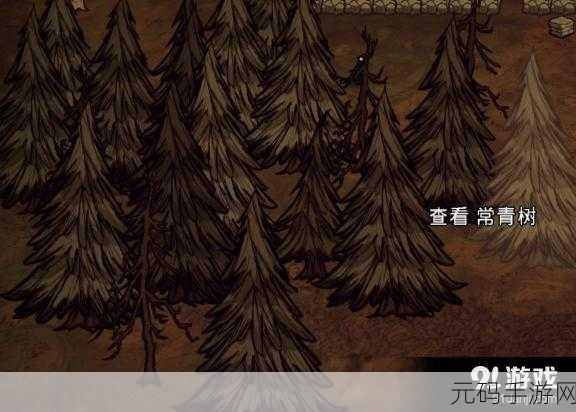 饥荒联机版，探秘幽静树林的致命陷阱与机遇