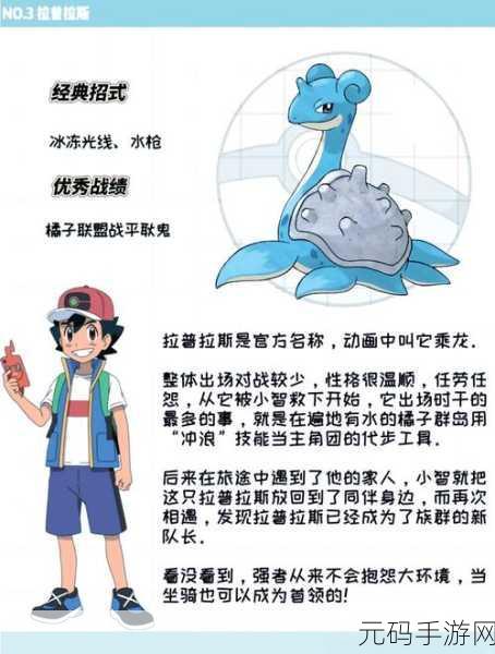 宝可梦大探险，探寻杰尼龟的美味食谱秘籍