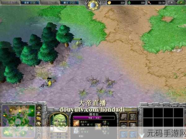 魔兽争霸手游中 fly 与无道的深度剖析与对比