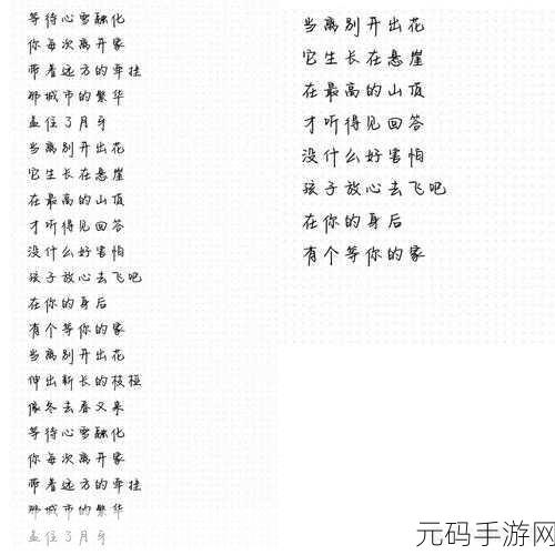 文字玩出花,探寻有何不可歌词的神秘之旅