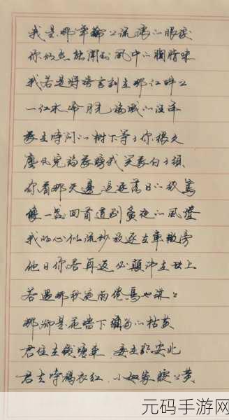 文字玩出花,探寻有何不可歌词的神秘之旅