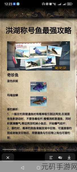 欢乐钓鱼大师，洪湖神秘之寻——最后两条鱼的隐匿之处