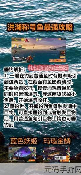 欢乐钓鱼大师，银翼的奇术师垂钓秘籍大公开