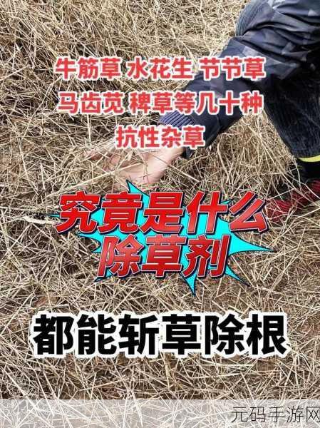 心动小镇除草秘籍，轻松摆脱杂草困扰