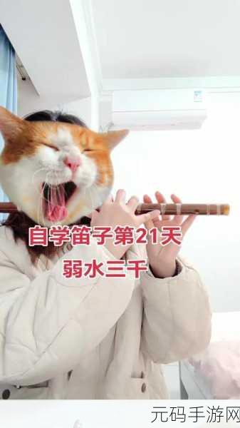 燕云十六声吹笛子任务全解析,技巧与秘诀大公开
