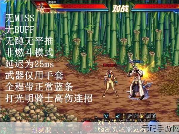 地下城与勇士手游，男女柔道深度解析与抉择指南