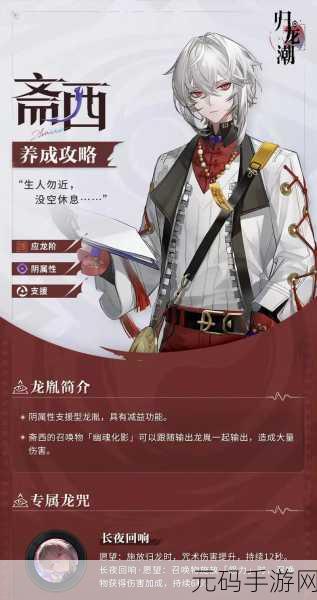 归龙潮斋西潮品抉择指南，精准推荐助你称霸
