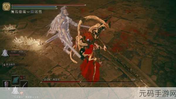 艾尔登法环黄金树 DLC 幽影塔之镇井底钥匙探寻全攻略