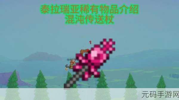 泰拉瑞亚,探索 NPC 出售的神秘召唤物