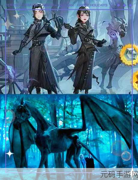 哈利波特魔法觉醒，巫师空间全面解析与实用指南