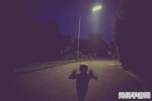 揭秘阴阳师神秘世界，灯笼鬼藏身何处，探险之旅启程