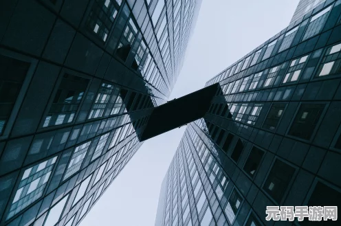 心动小镇海鸥拍摄全指南，地点与技巧大揭秘