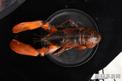 波西亚时光美食探索，揭秘海鲜大杂烩的独家制作方法